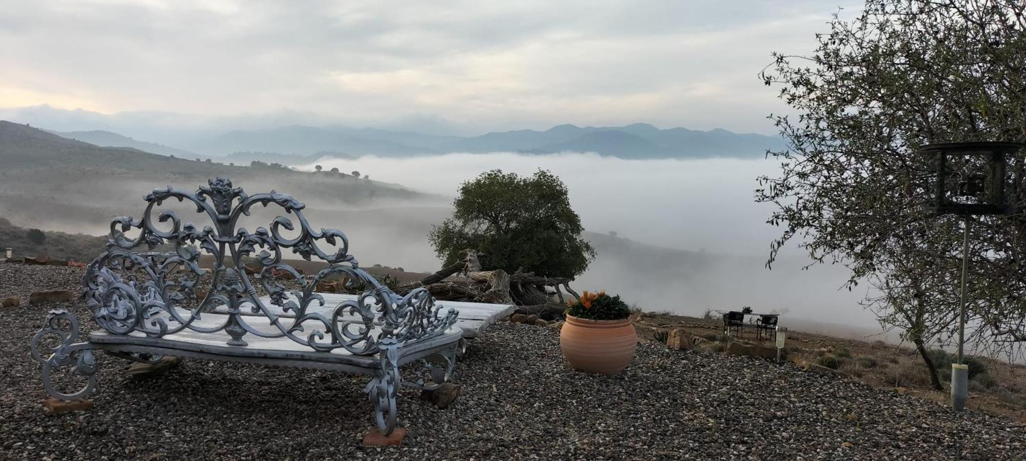 アロラ Casa Ceratonia Bed & Breakfast エクステリア 写真